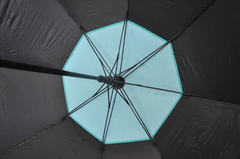 Umbrella 2017