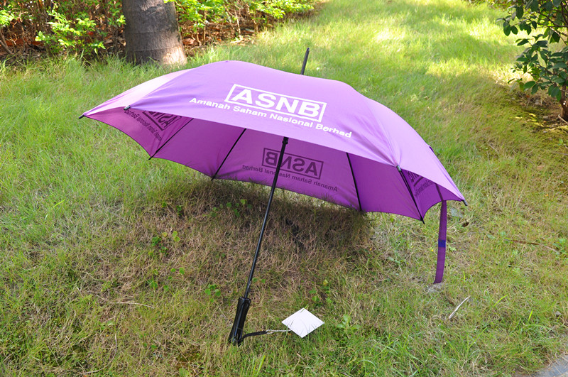 New Design Umbrella