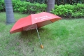 Chino madera mango paraguas del doblez rojo 2