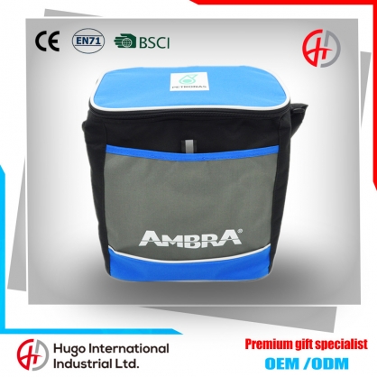 Custom Foldable Waterproof Cooler Bag